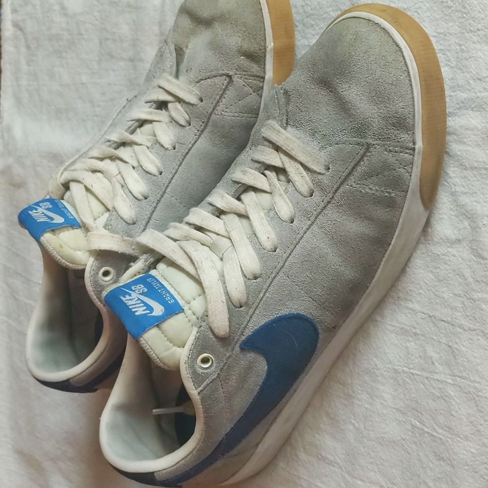 Nike skate shoes Brant Taylor